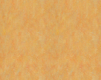 [1001111110_2] Marmoleum Vivace - 3411 sunny day